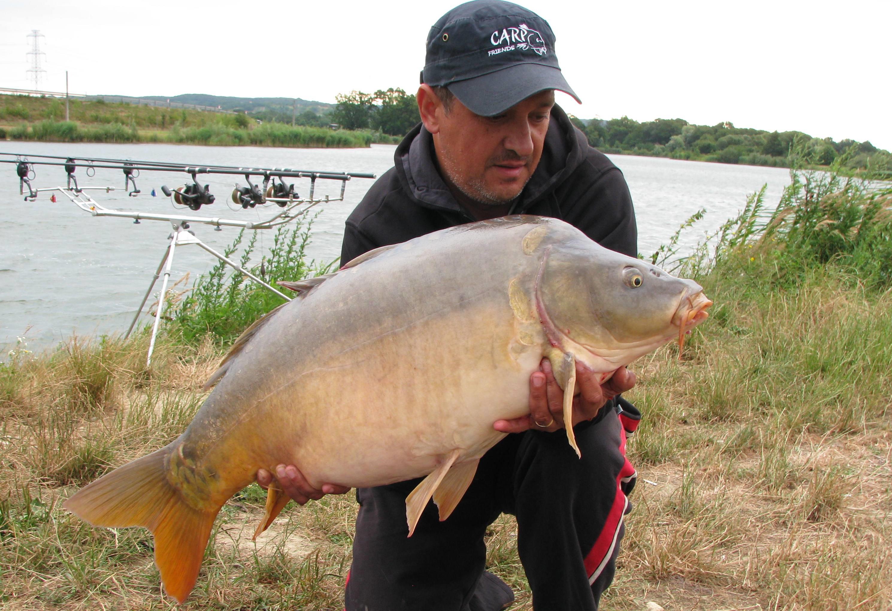 capturi - IMG_3187.JPG